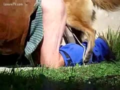 He trained his dog to fuck him.